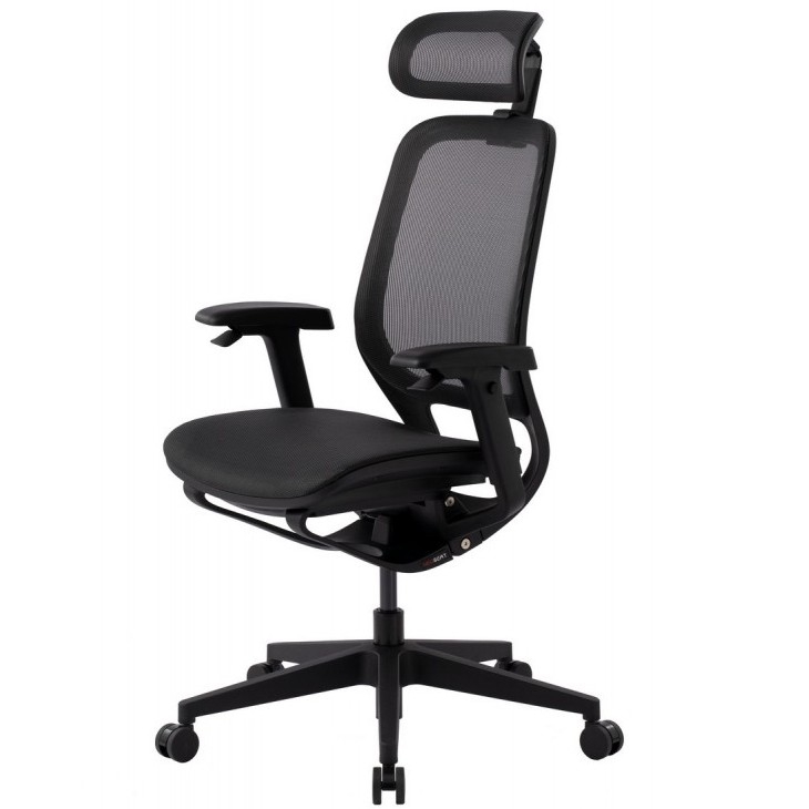 Эргономичное кресло GT Chair